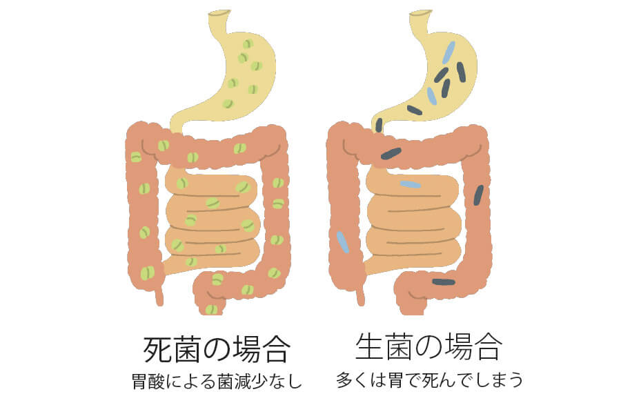 死菌は